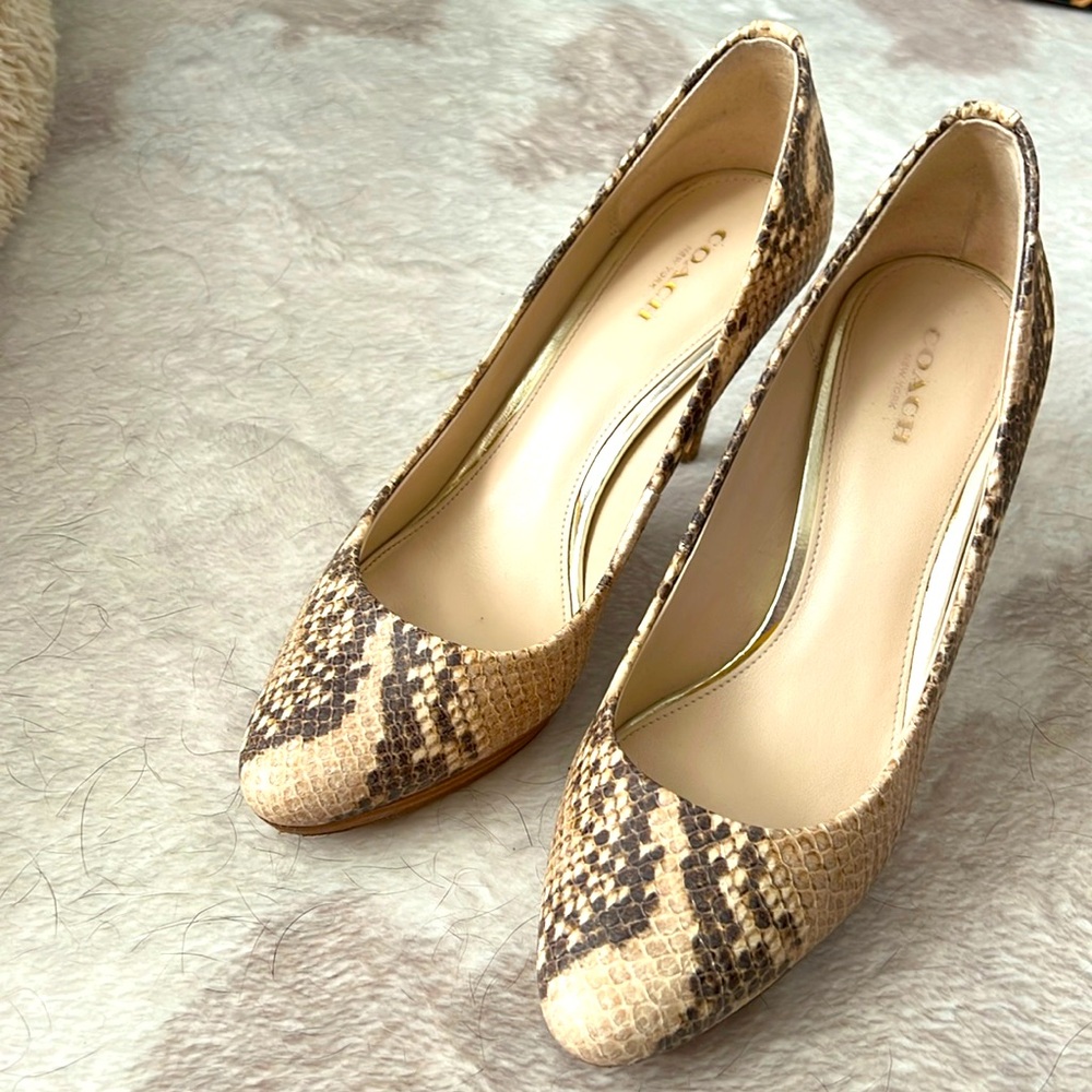 Snake skin 4” COACH heels